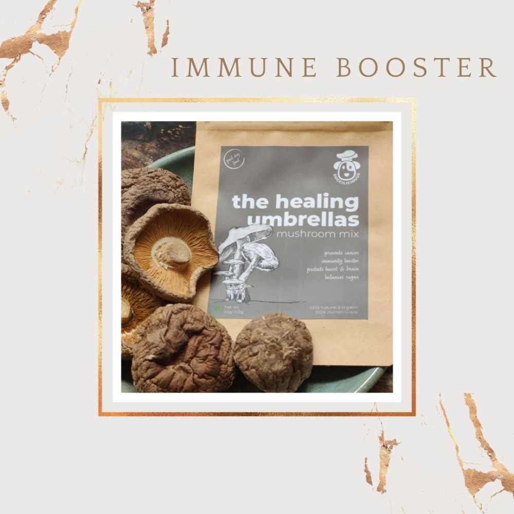 Doggielicious Healing Umbrellas Immune Booster for Dogs