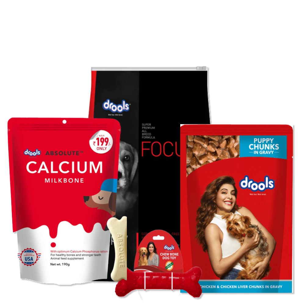 Drools Puppy Hamper