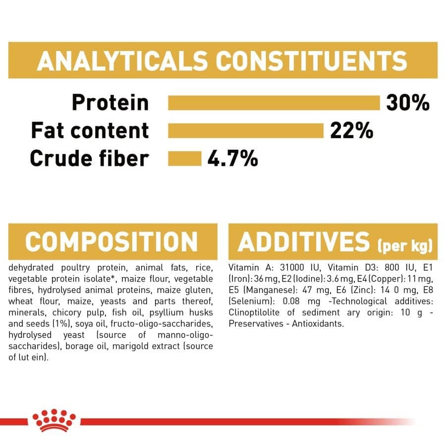 Royal Canin Persian Adult Dry Cat Food (Sample)
