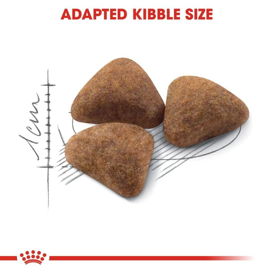 Royal Canin Indoor Adult Cat Dry Food (Sample)