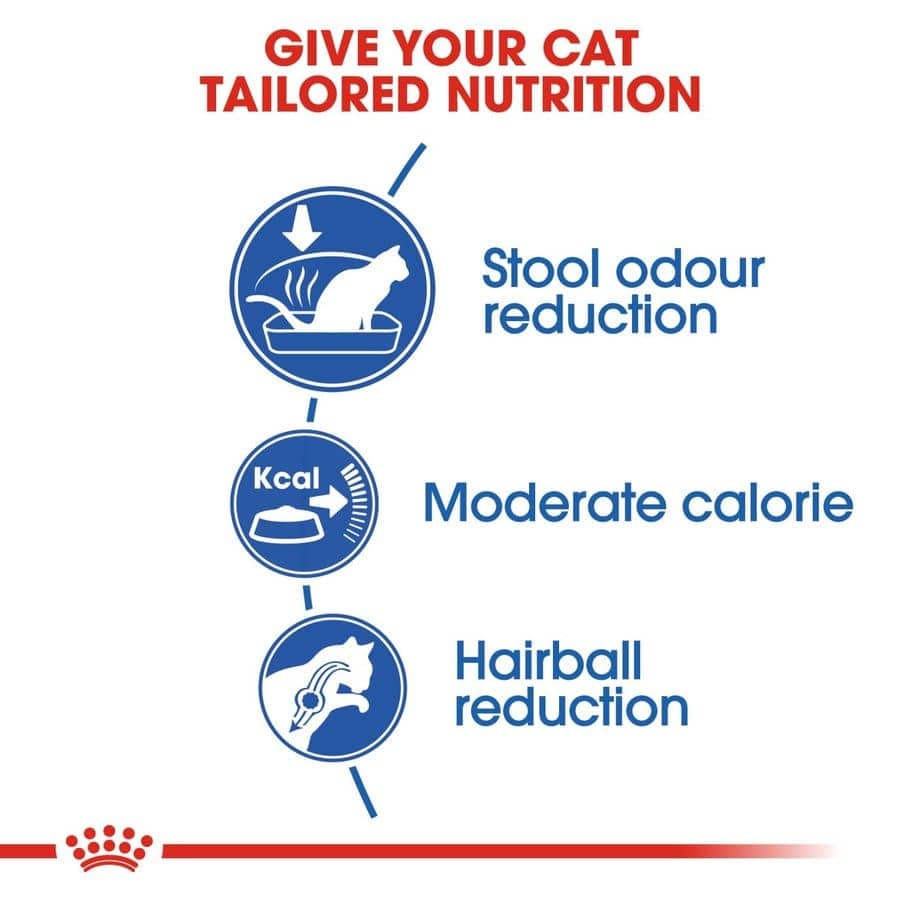 Royal Canin Indoor Adult Cat Dry Food (Sample)