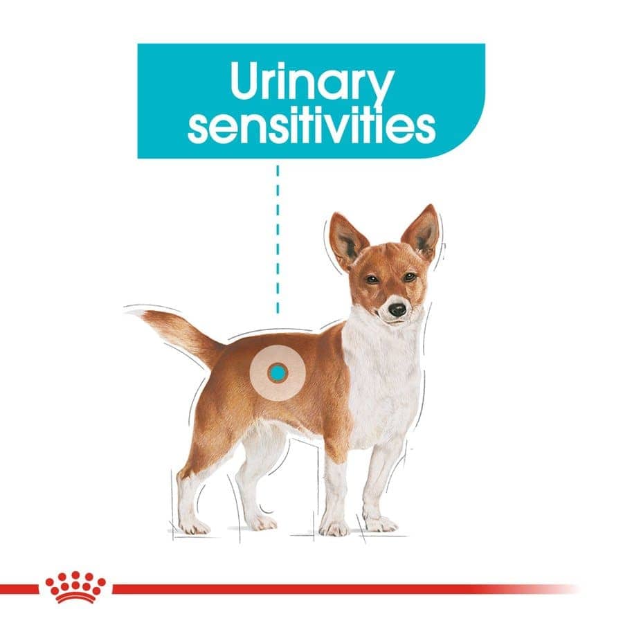Royal Canin Urinay Care Mini Adult Dog Dry Food