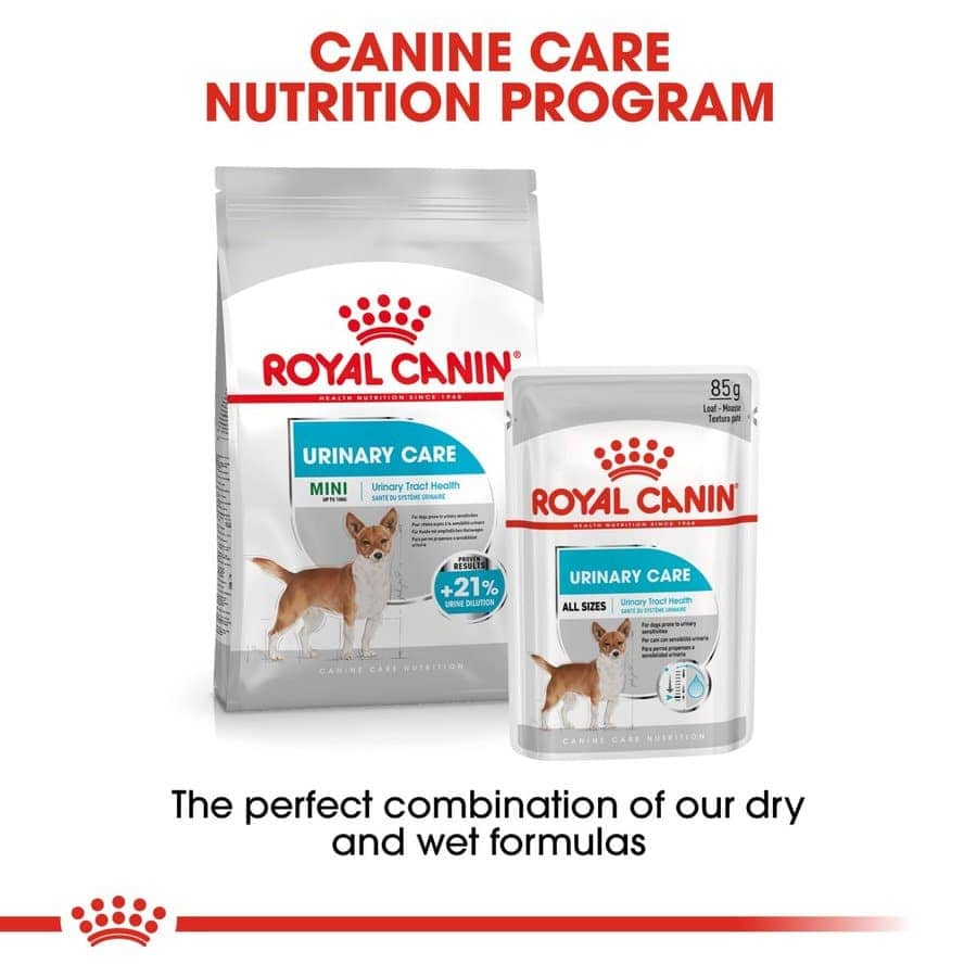 Royal Canin Urinay Care Mini Adult Dog Dry Food