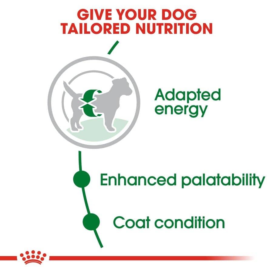 Royal Canin Mini Adult Dog Dry Food (Sample)