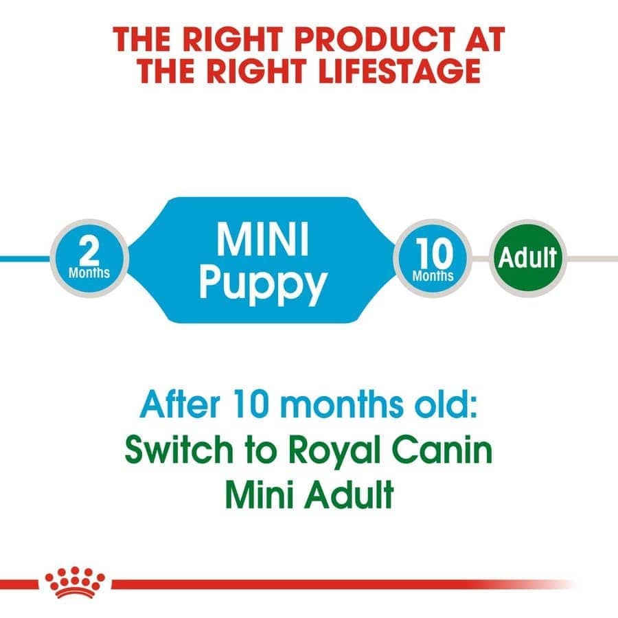 Royal Canin Mini Puppy Dry Food (Sample)