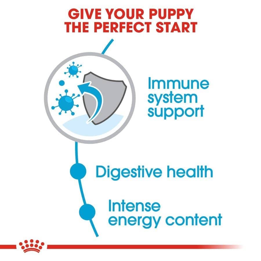 Royal Canin Mini Puppy Dry Food (Sample)