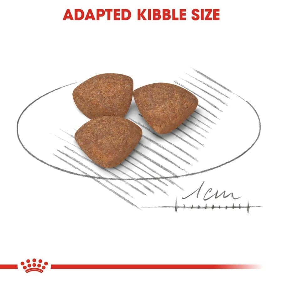 Royal Canin Mini Puppy Dry Food (Sample)