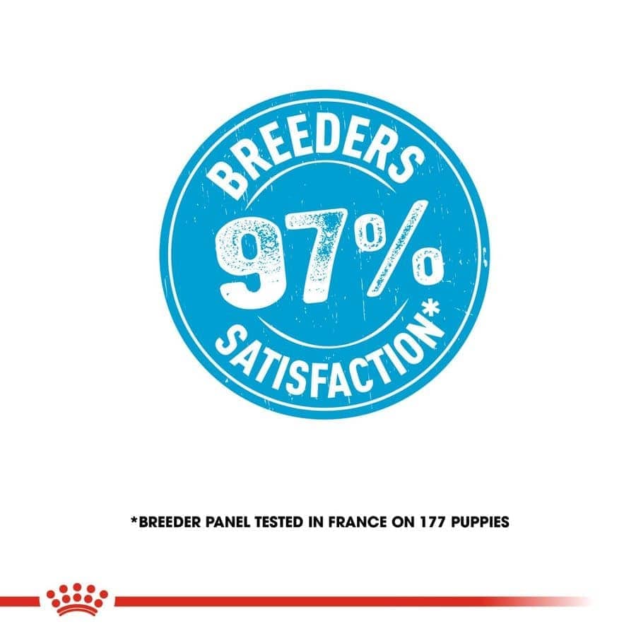 Royal Canin Mini Puppy Dry Food (Sample)