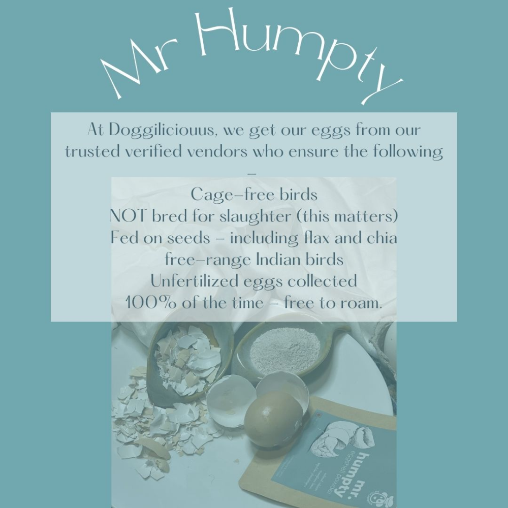 Doggielicious Mr Humpty Egg Shell Powder for Dogs