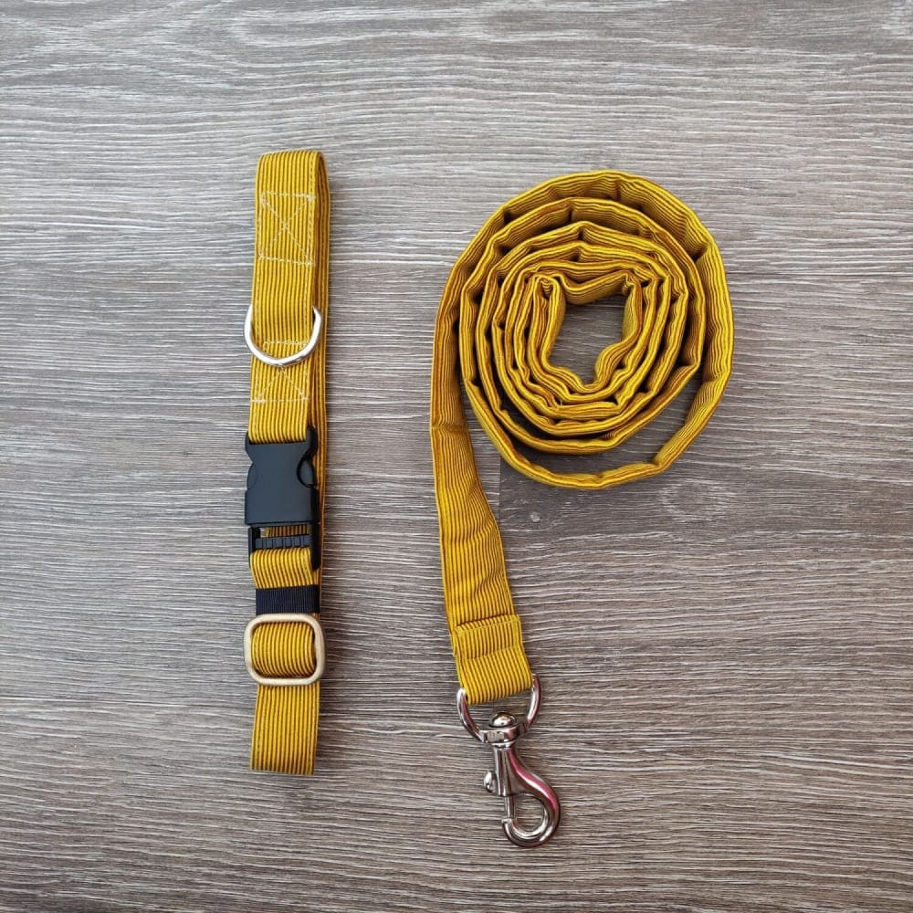 FurBuddies Collar & Leash Set for Dogs (Dandelion Yellow)