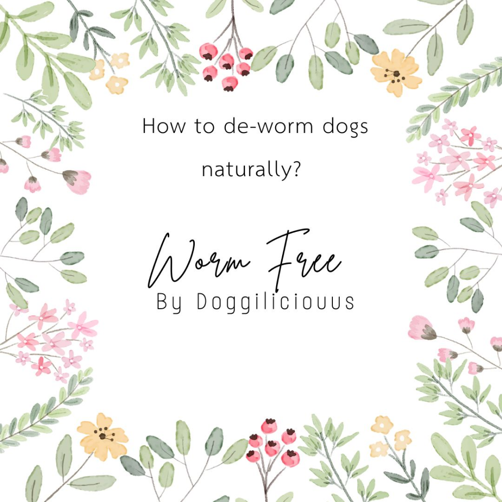 Doggielicious Worm Free Deworming Powder for Dogs