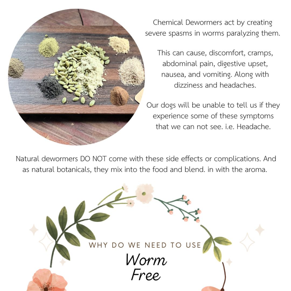Doggielicious Worm Free Deworming Powder for Dogs
