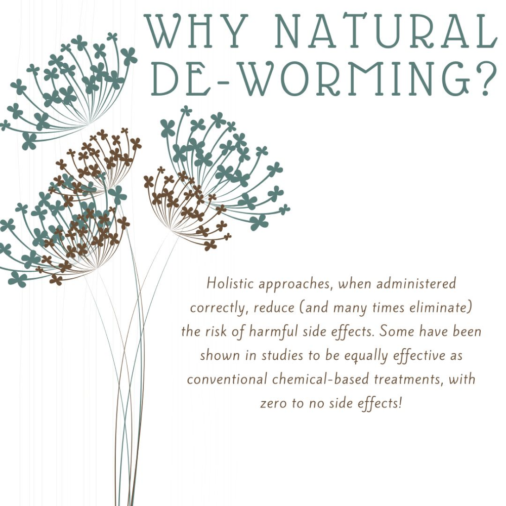 Doggielicious Worm Free Deworming Powder for Dogs