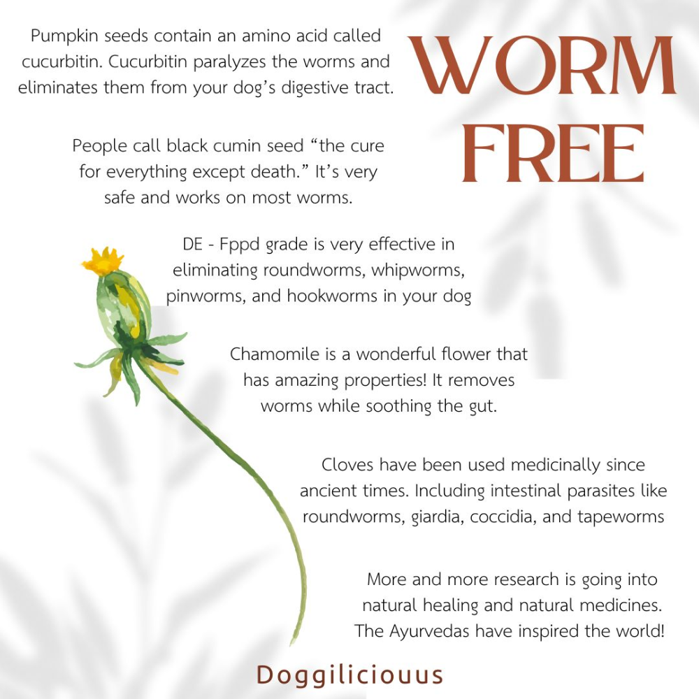 Doggielicious Worm Free Deworming Powder for Dogs