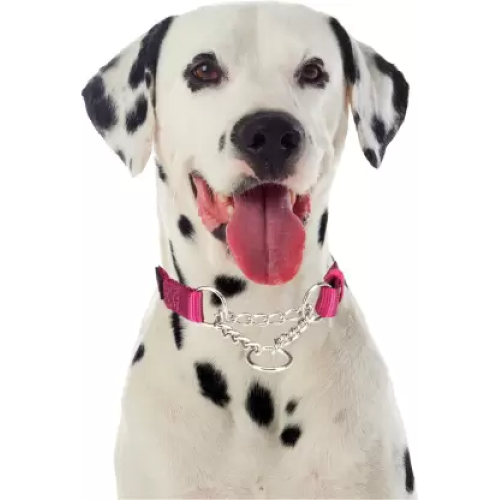 Trixie Premium Semi-Choke Collar for Dogs (Orchid)