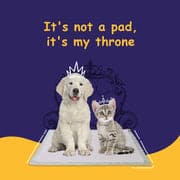 Pawsh Pet Training Pad