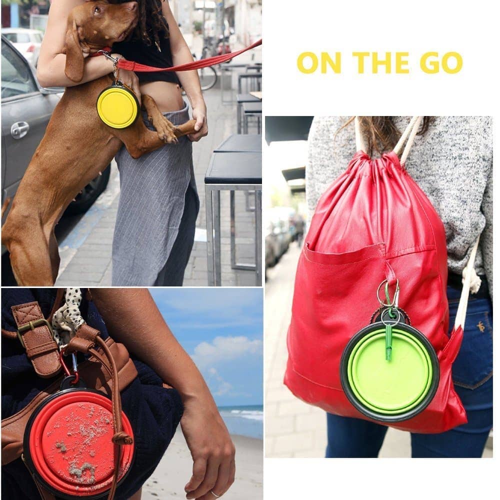 Goofy Tails Collapsible Silicone Travel Pet Bowl for Pets (Orange)