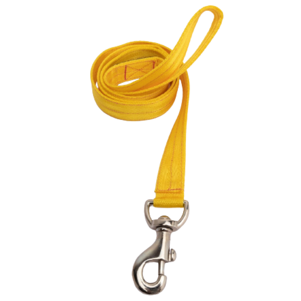 FurBuddies Collar & Leash Set for Dogs (Yellow Nylon)