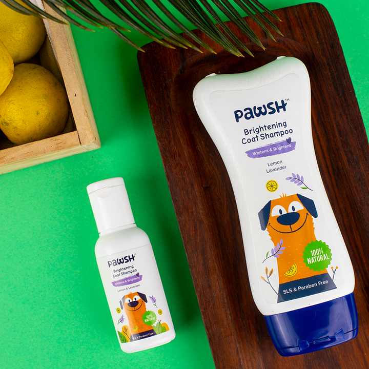 Pawsh Brightening Coat Shampoo for Pets