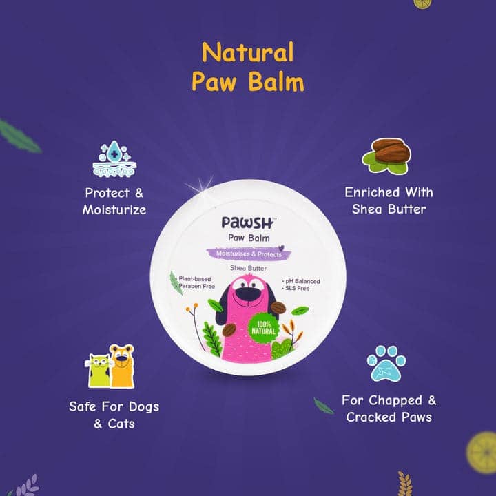 Pawsh Paw Balm Shea Butter for Pets