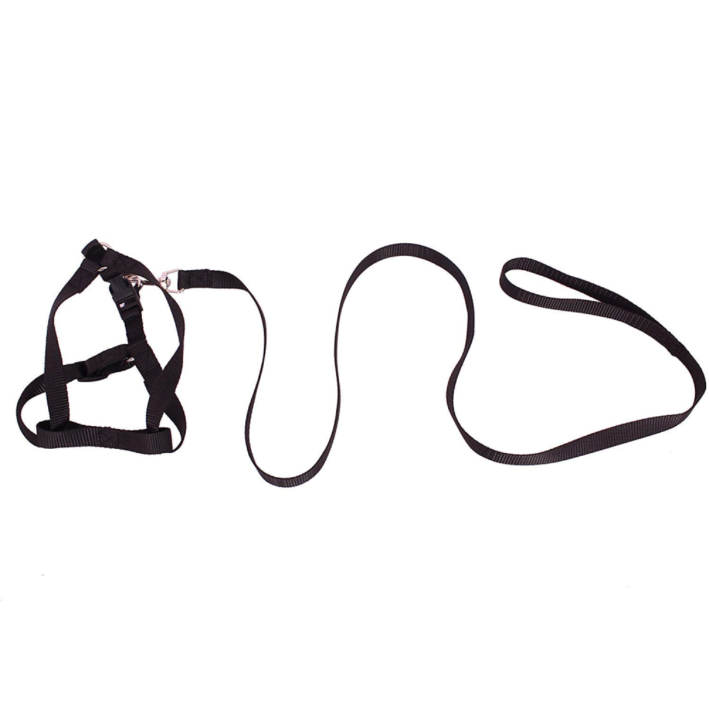 Emily Pets Leash And Harness Set (Black)