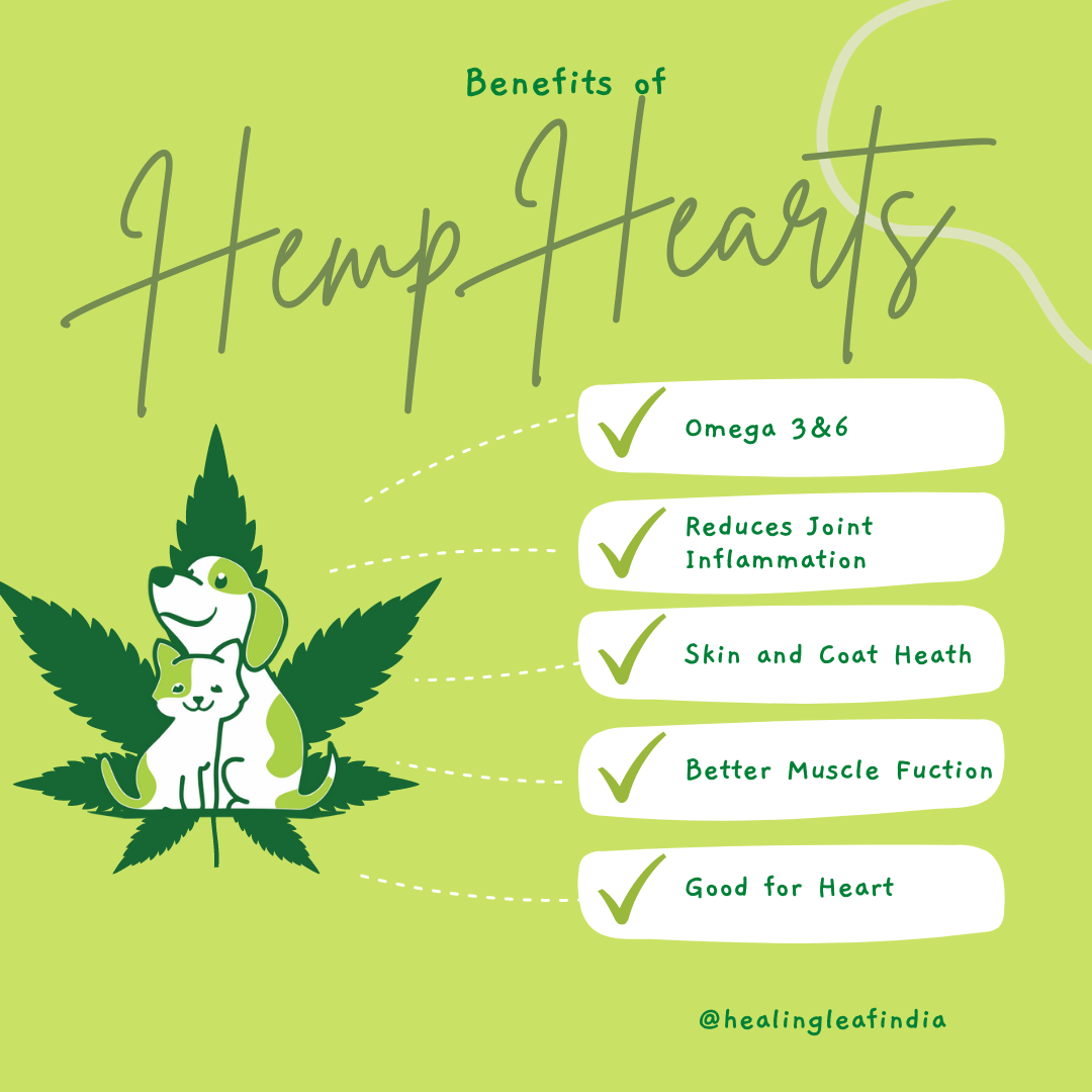 Healing Leaf Hemp Hearts for Pets - 100g + Fresh For Paws Peanut Butter - 100g Wet Dog Food Treats