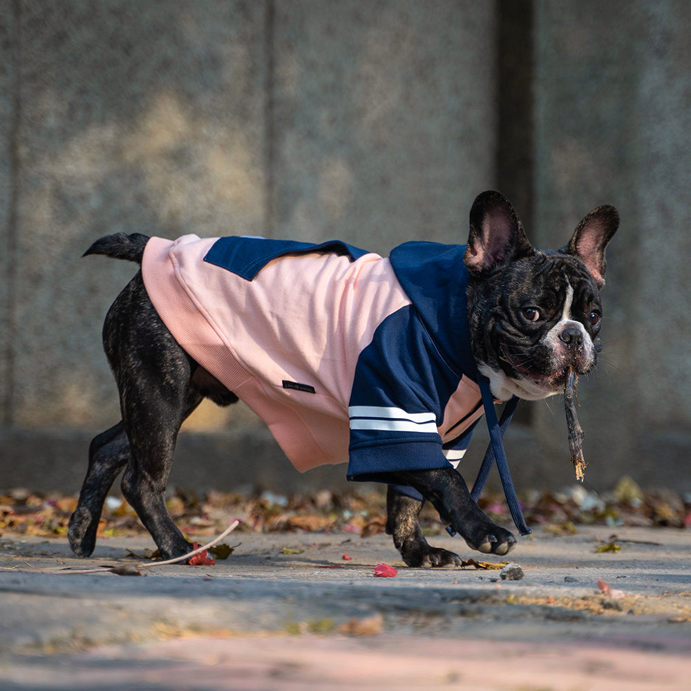 Dear Pet Stripes Sweatshirts for Dogs (Peach & Blue)