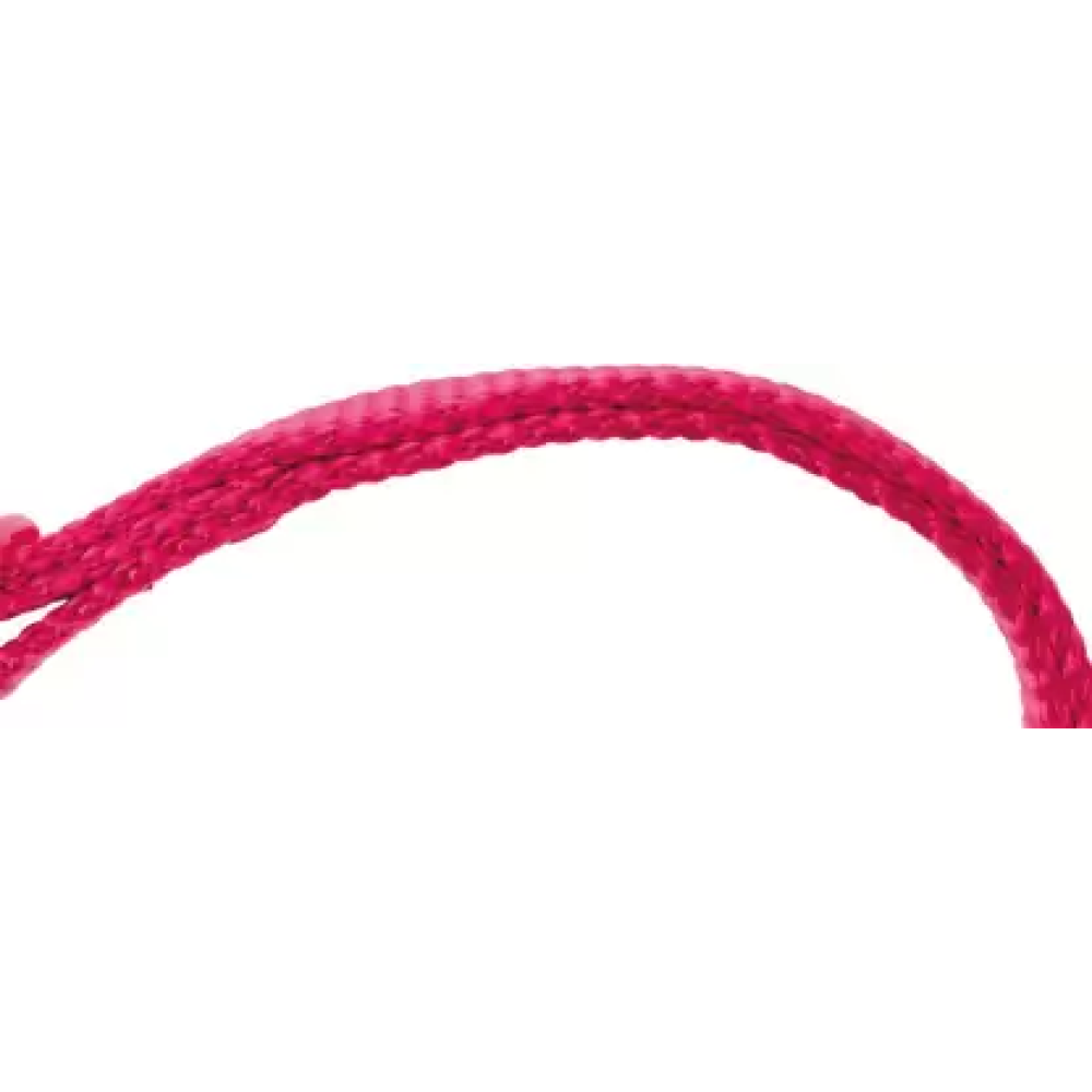 Trixie Premium Collar for Dogs (Fuchsia)