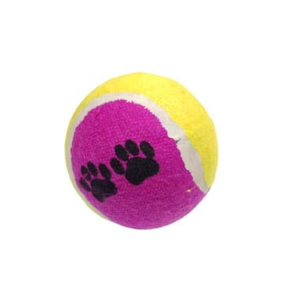 Kiki N Pooch Puppy Ball 5 in 1 Combo Rattle Ball for Dogs