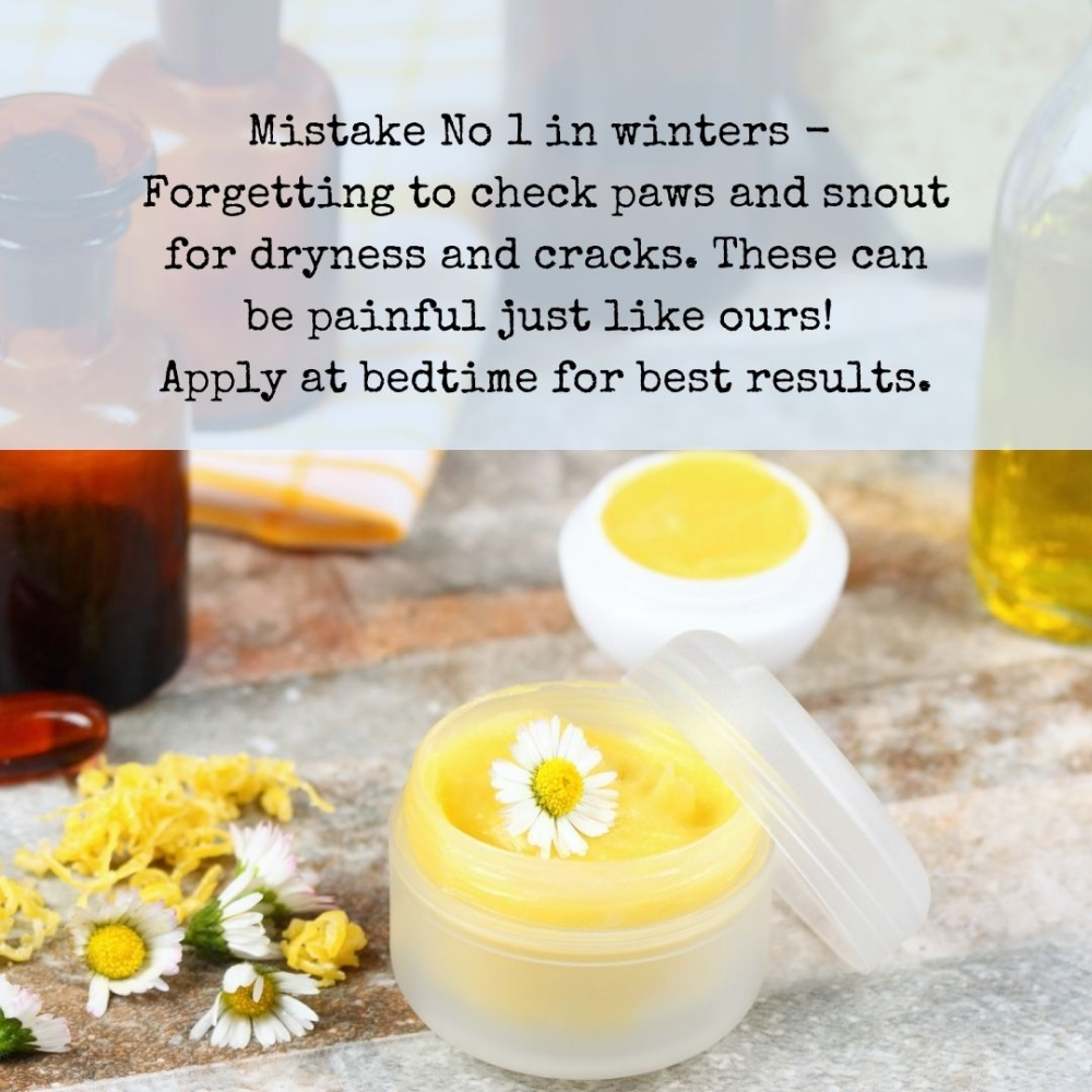 Doggielicious Paw & Snout Butter for Dogs