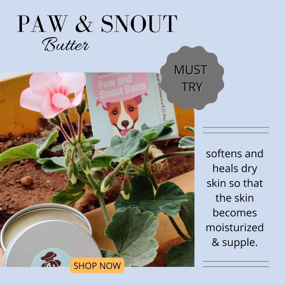 Doggielicious Paw & Snout Butter for Dogs
