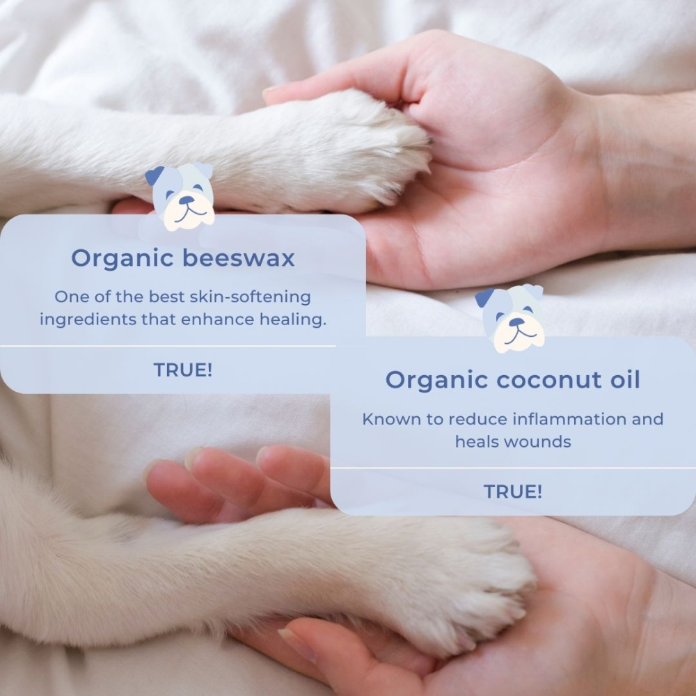 Doggielicious Paw & Snout Butter for Dogs