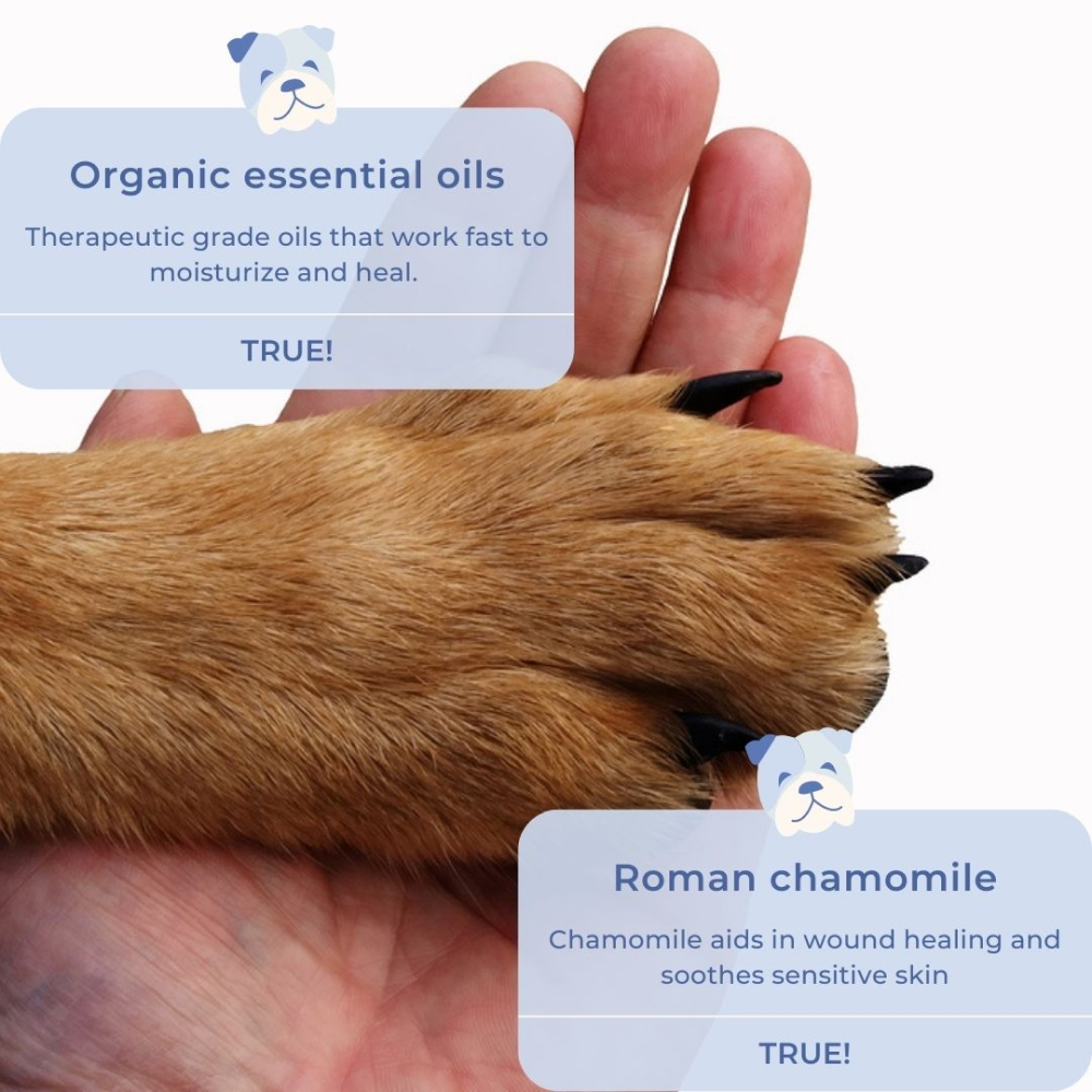 Doggielicious Paw & Snout Butter for Dogs