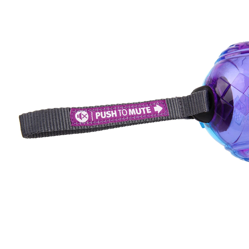 GiGwi Push To Mute Owl Chew Toy for Dogs (Purple/Blue)