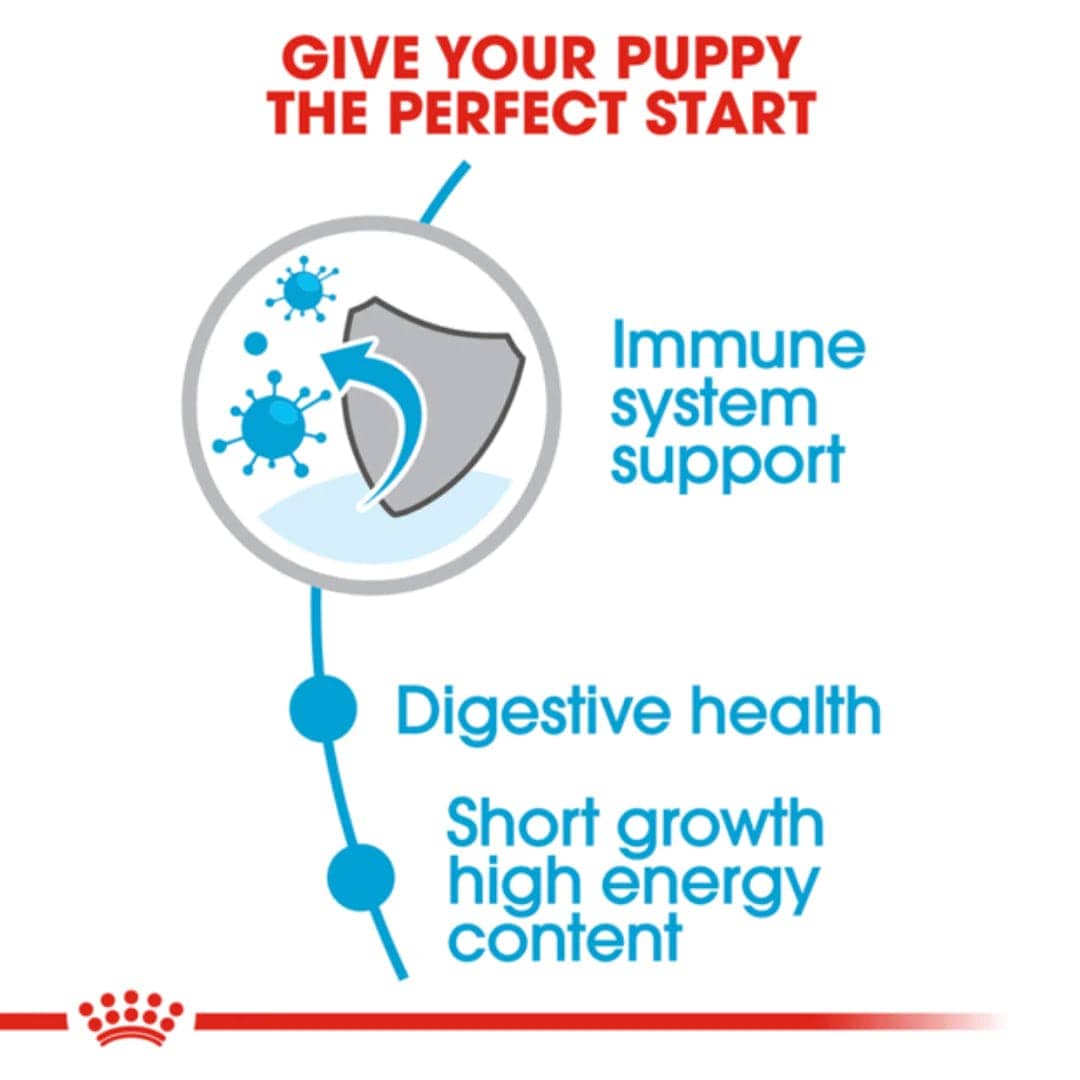 Royal Canin Medium Puppy Dry Food (Sample)