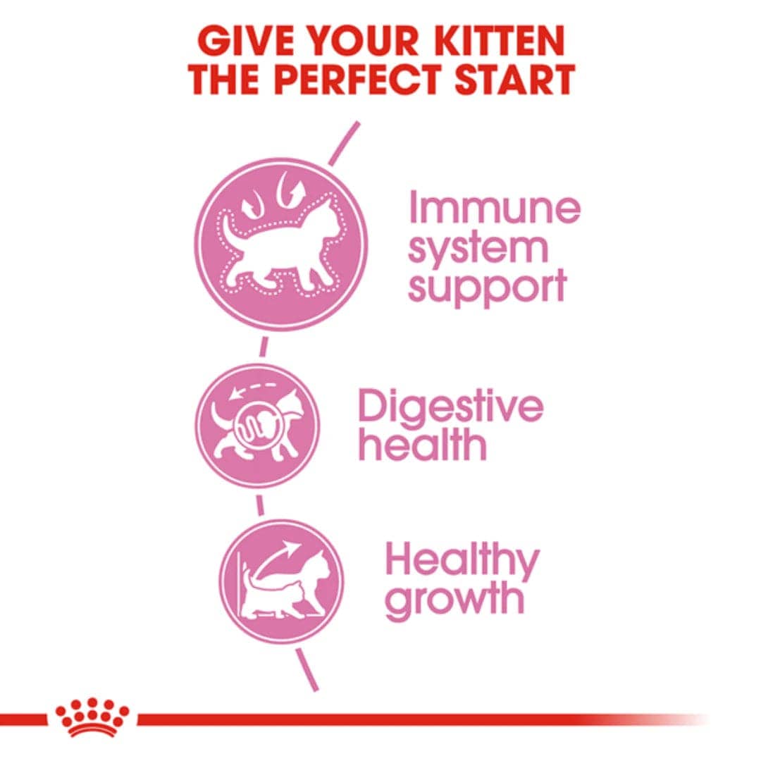 Royal Canin Kitten Dry Food (Sample)