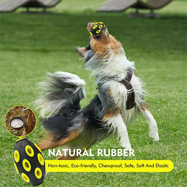 Pawsindia Rugby Durable Toy for Dogs (Black)