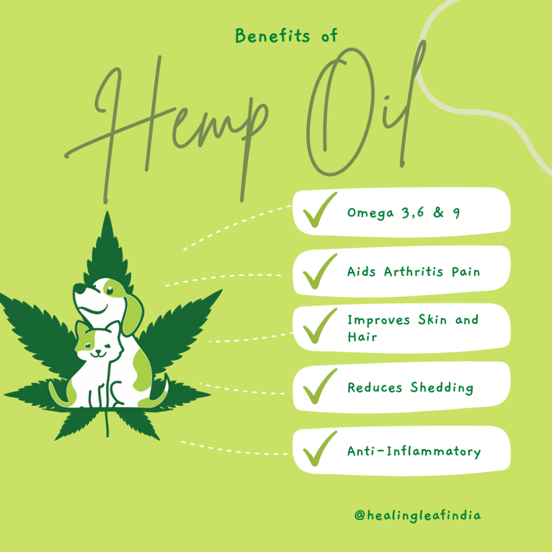 Healing Leaf Hemp Hearts - 100g + Hemp Oil - 90ml for Pets