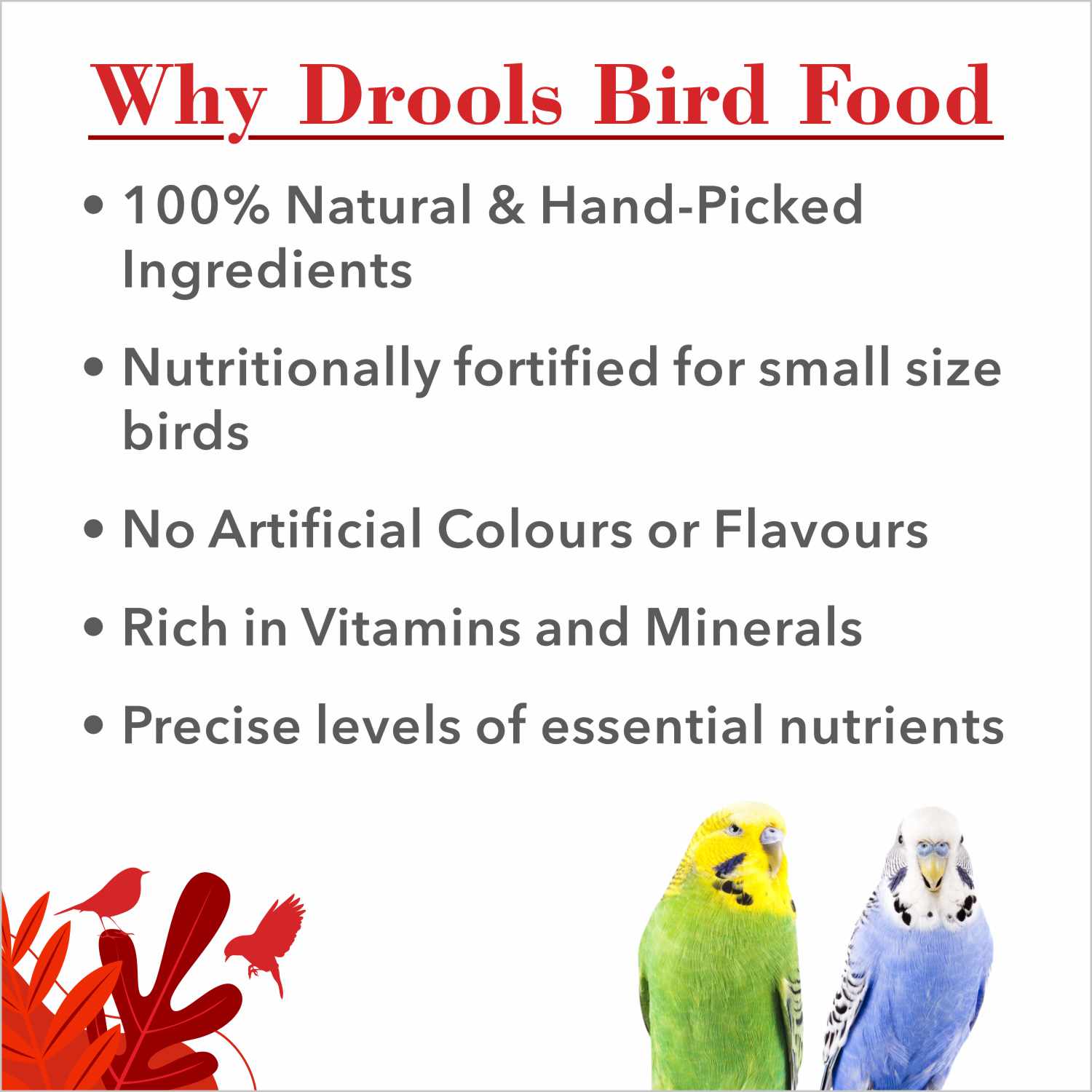 Drools Bird Food with Mixed Seeds for Budgies