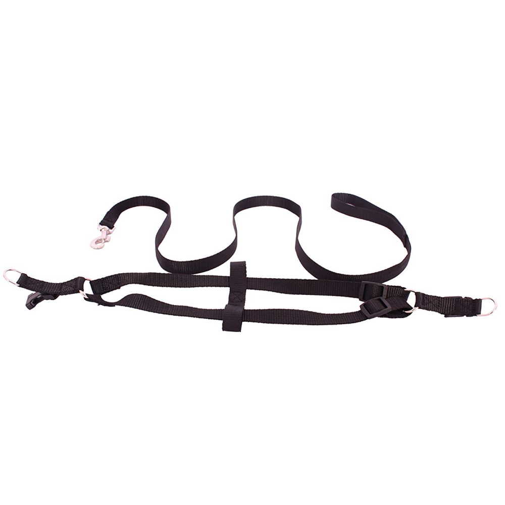 Emily Pets Leash And Harness Set (Black)