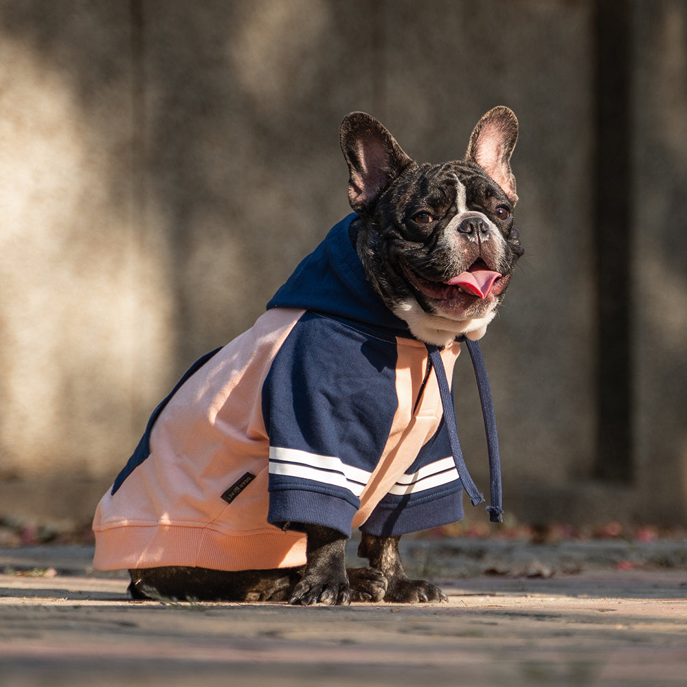 Dear Pet Stripes Sweatshirts for Dogs (Peach & Blue)