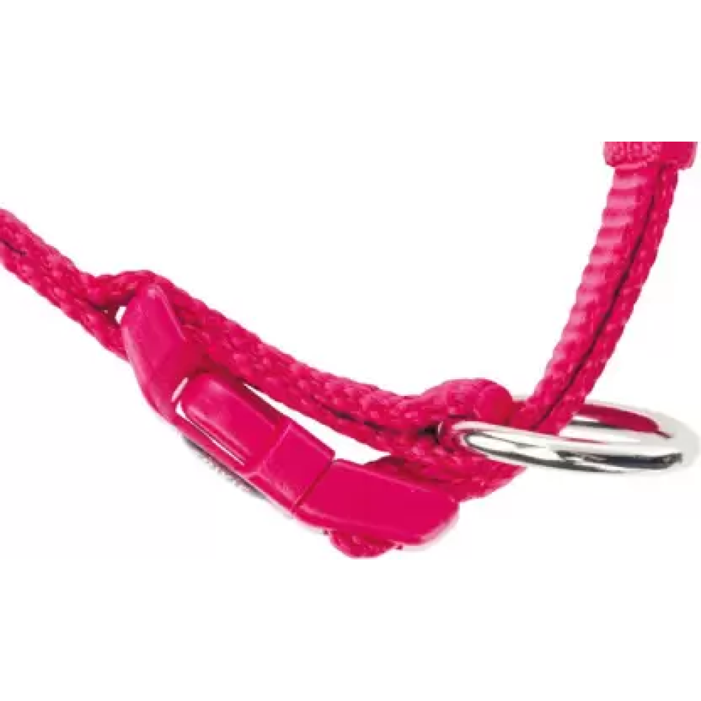 Trixie Premium Collar for Dogs (Fuchsia)