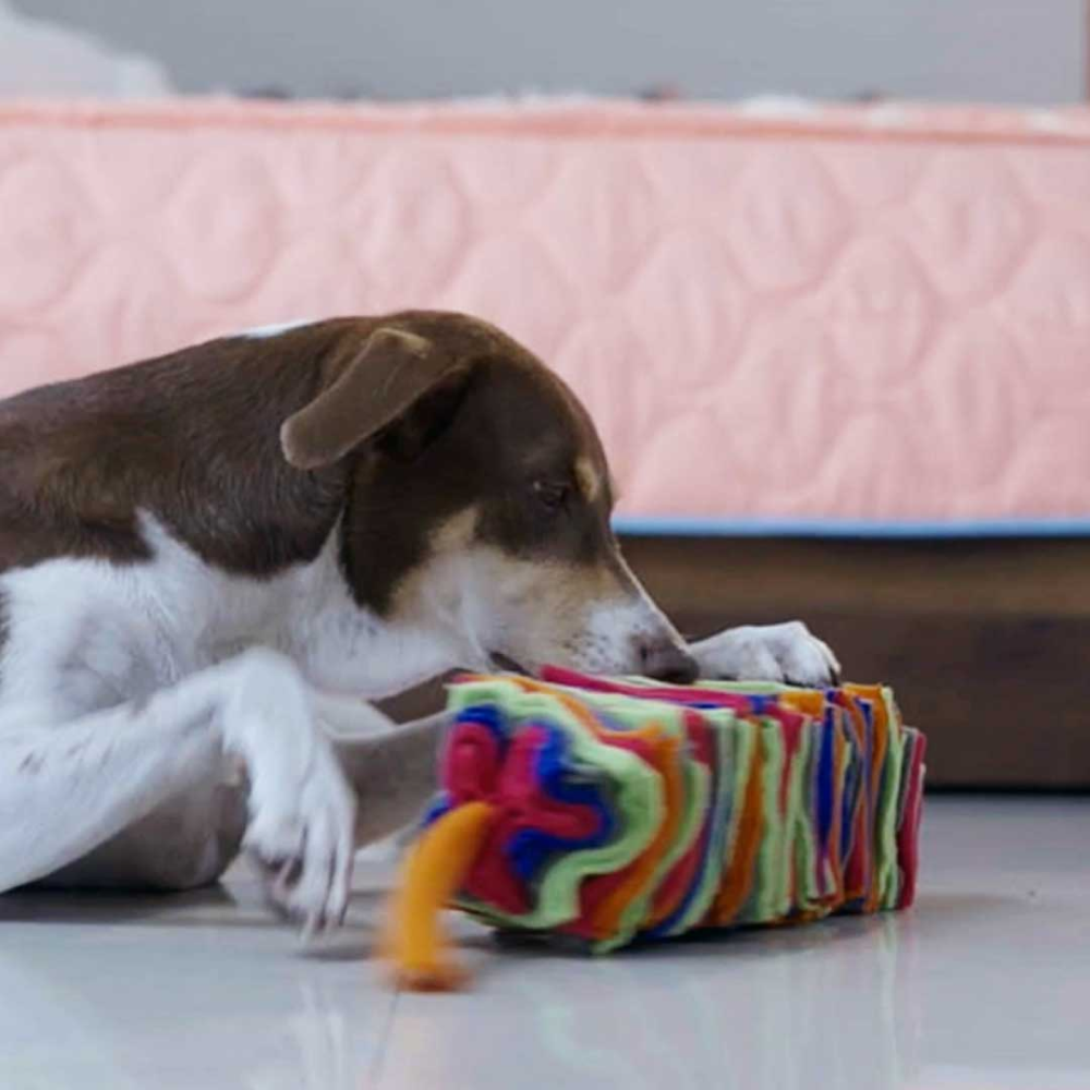 For The Love Of Dog Snuffle Kebab Toy for Dogs