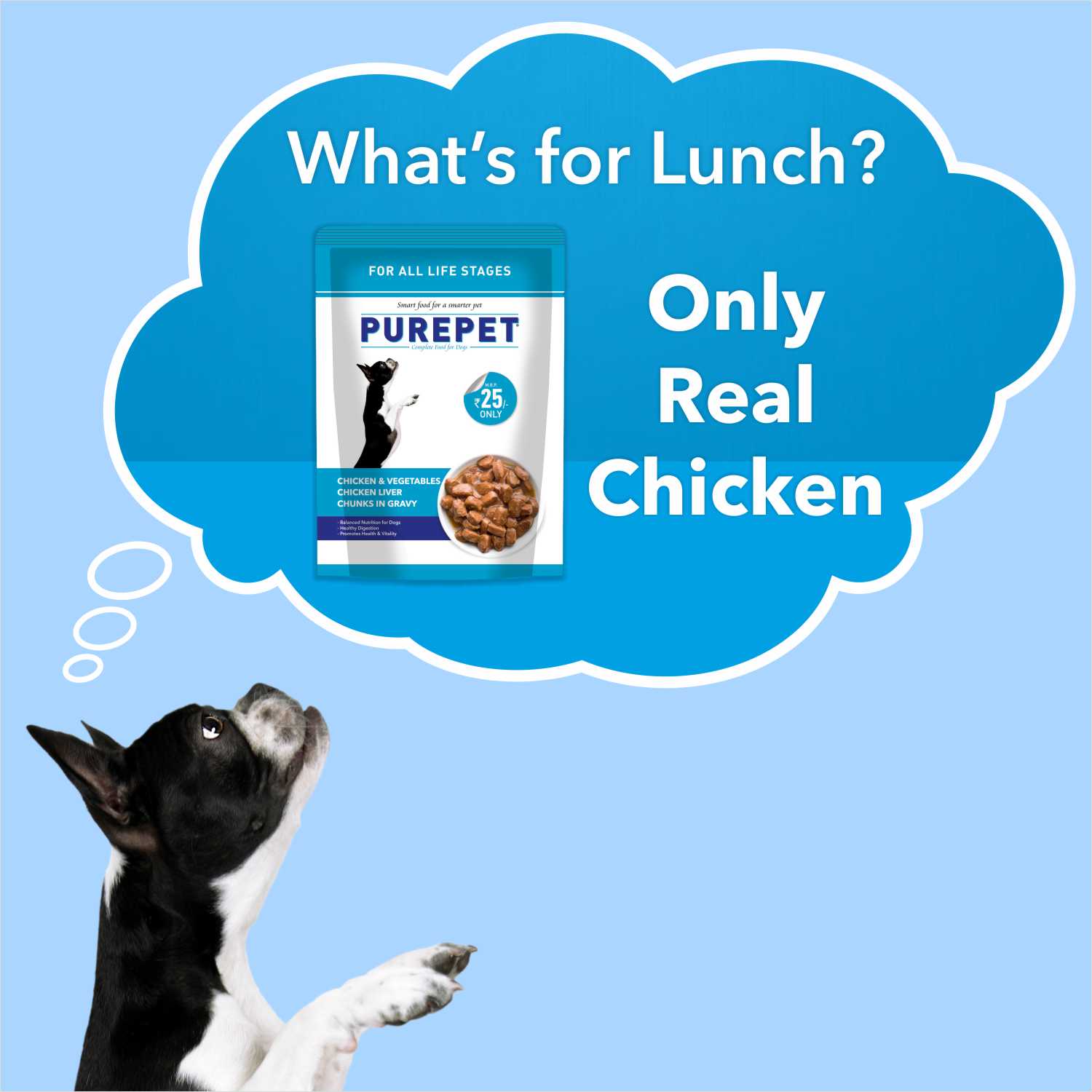Purepet Chicken & Vegetable Chunks in Gravy Adult Wet Dog Food