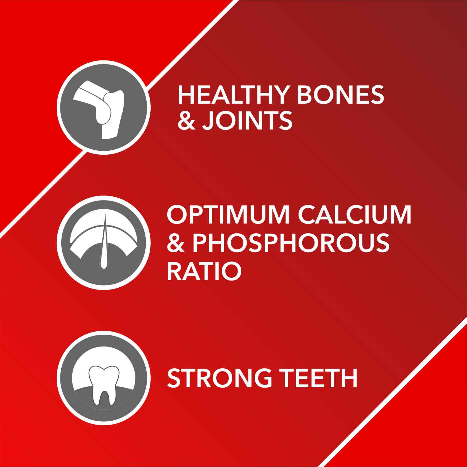 Drools Absolute Calcium Oil Syrup Supplement for Pets