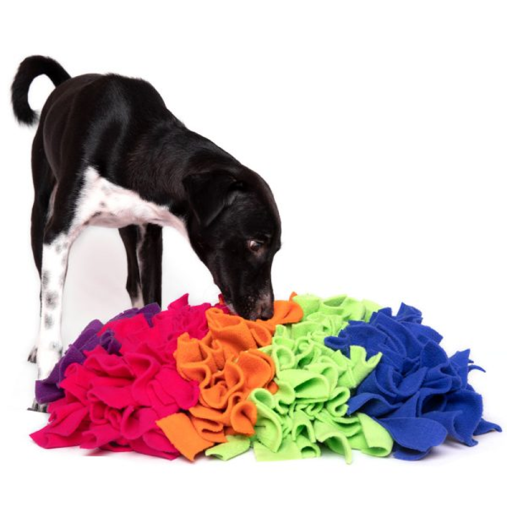 For The Love Of Dog Snifferƒ??s Pride Mat for Dogs (16 x 12 inch)