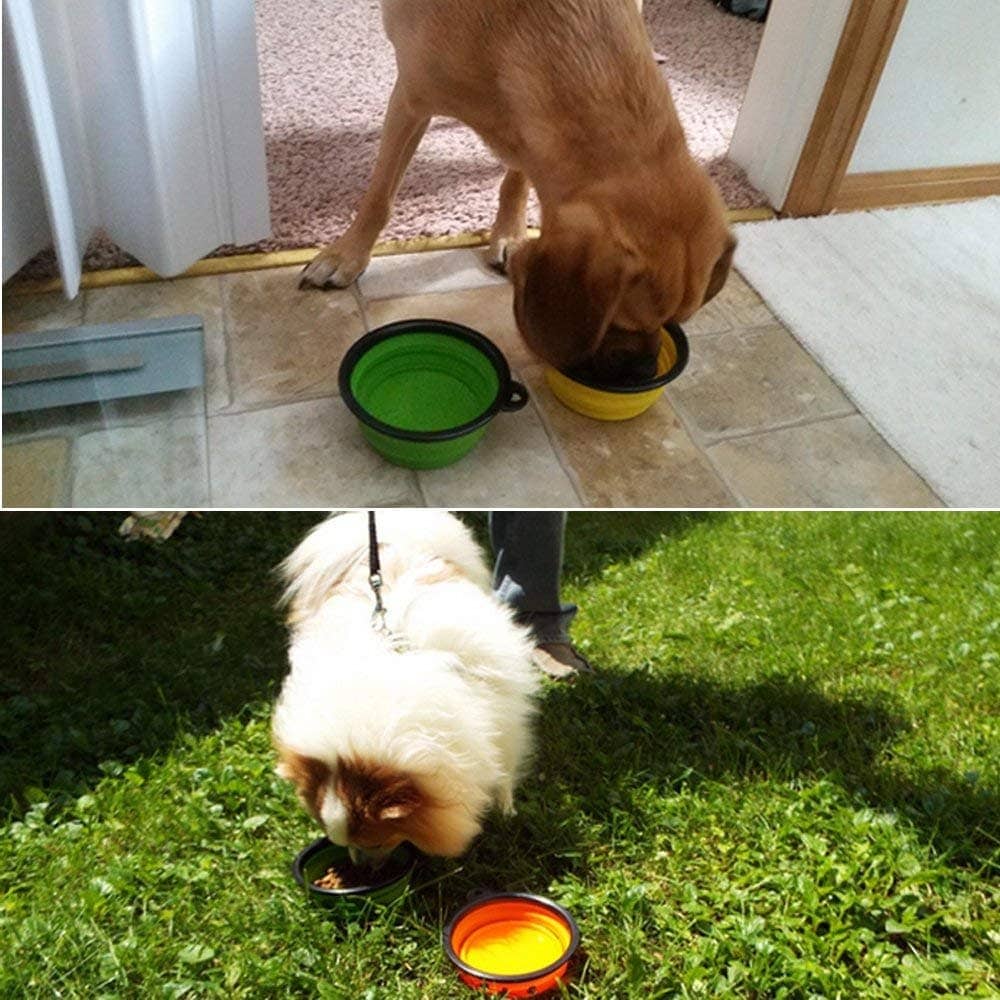 Goofy Tails Collapsible Silicone Travel Pet Bowl for Pets (Orange)