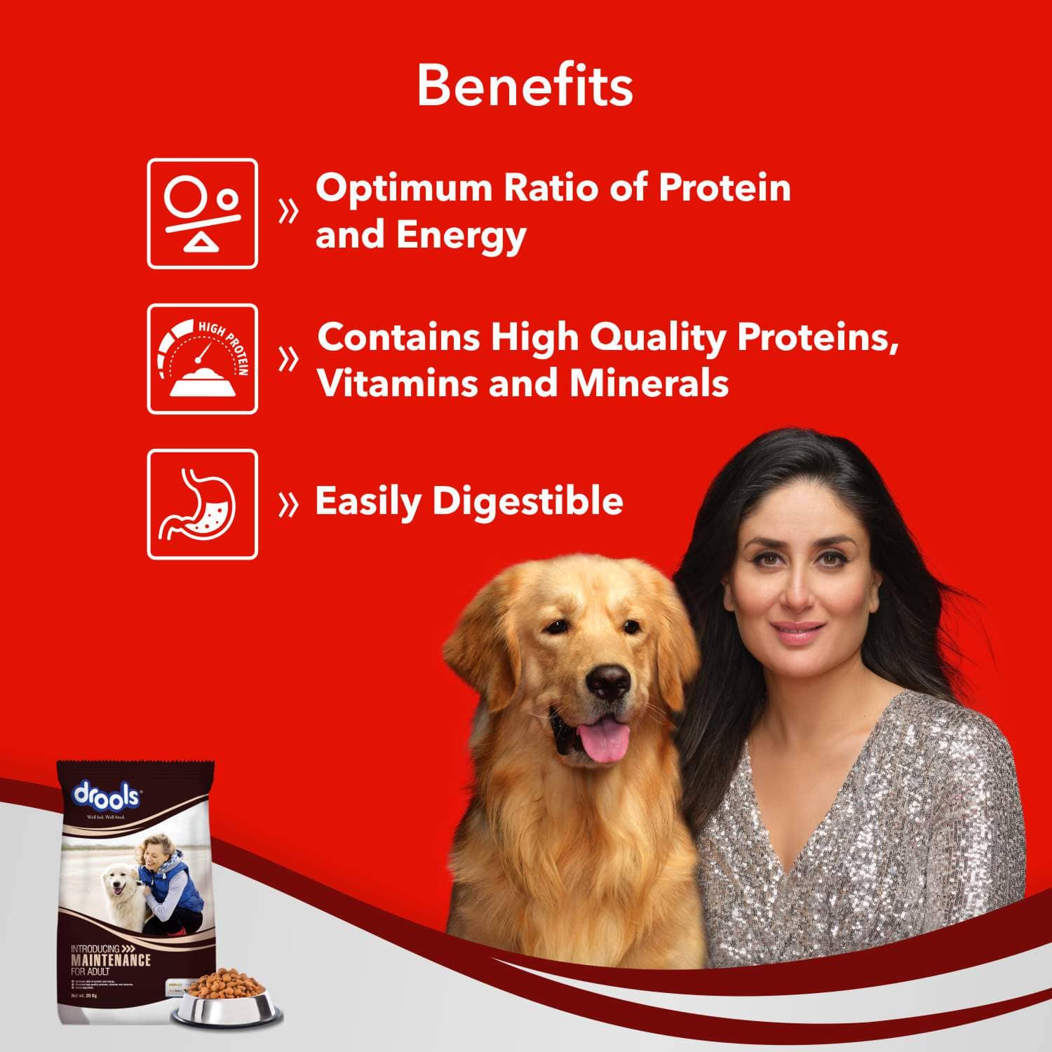 Drools Chicken Maintenance Adult Dog Dry Food