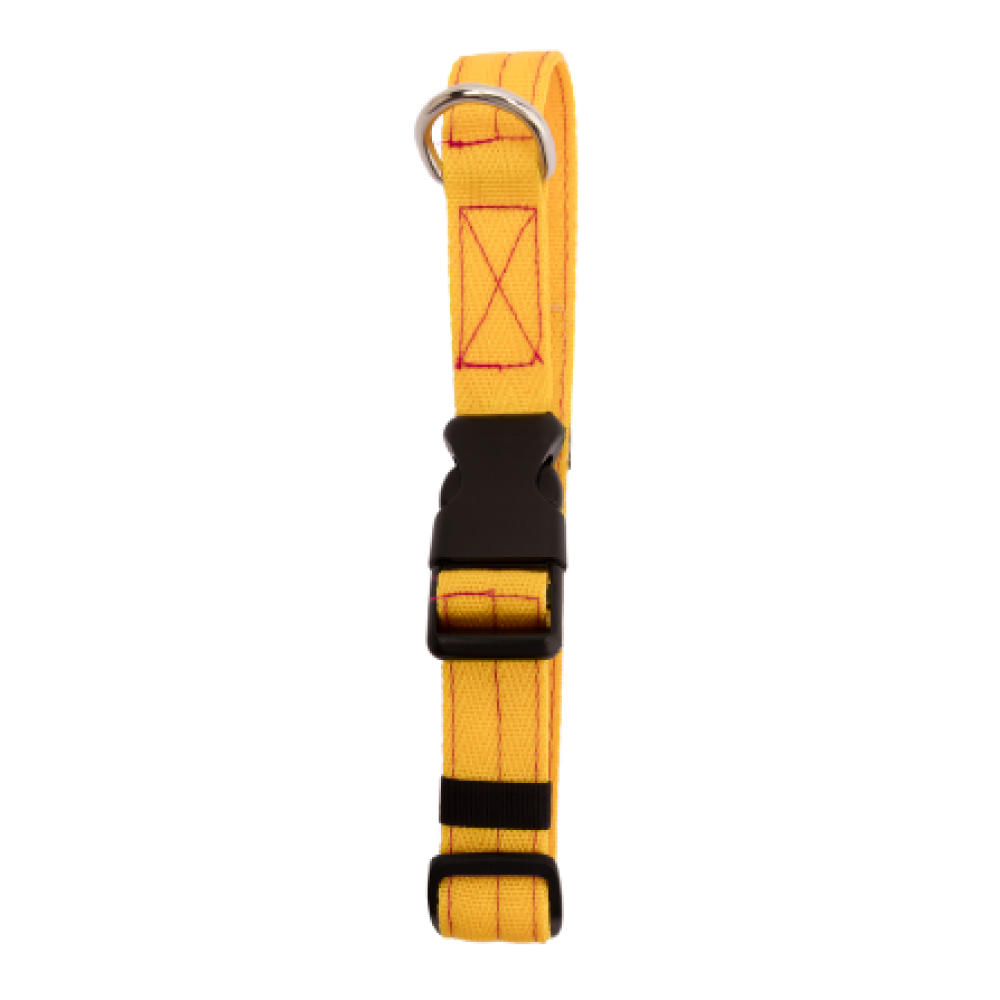 FurBuddies Collar & Leash Set for Dogs (Yellow Nylon)