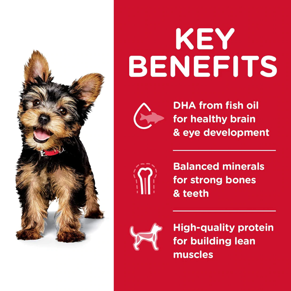 Hills Science Diet Chicken Meal & Brown Rice Recipe Small Paws Puppy Dry Food